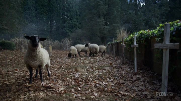 lambs of god 2019
